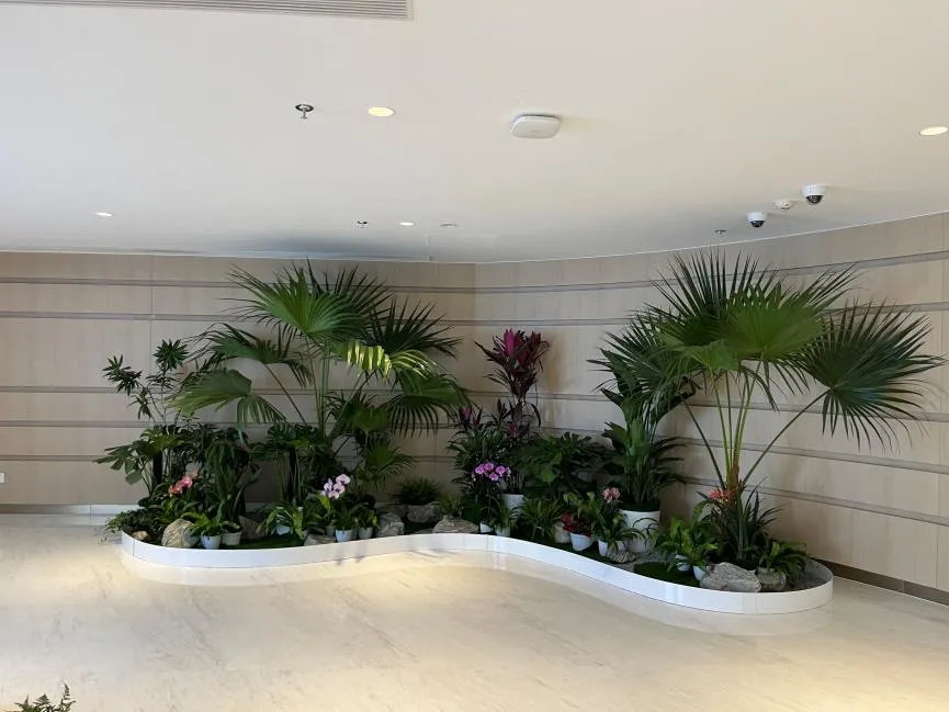 宁波北仑花卉租摆，服务超一流，快来感受！