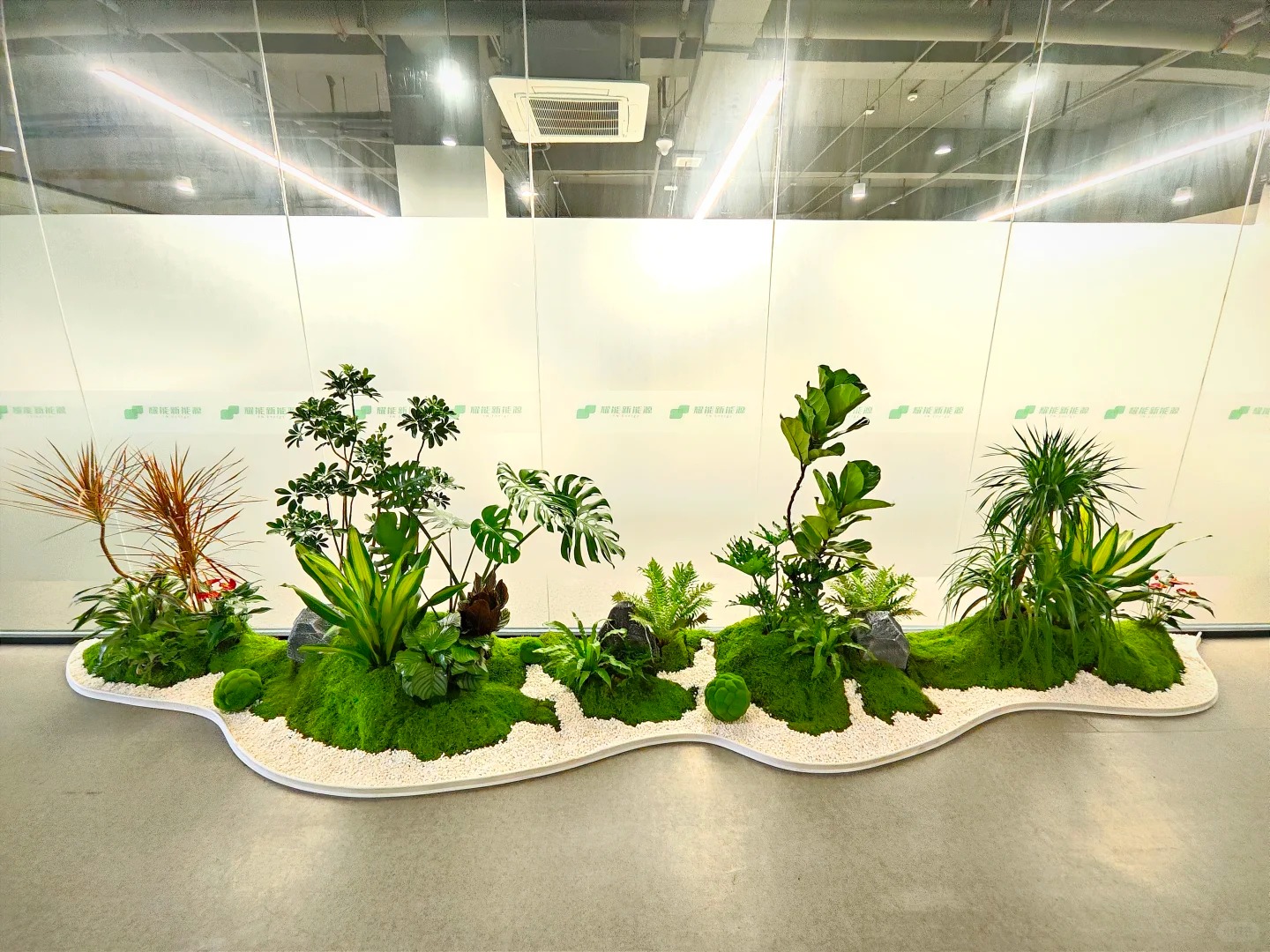 奉化花卉租摆，优质服务，让花卉装饰点亮你的世界！